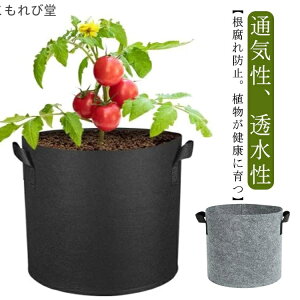 yzA琬 ʋC y 5 Aؔ sDz|bg ͔| tFg z z nht 5Zbg sDzv^[