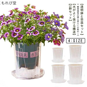 yzMt 锫 rt  ̔ a10cm vX`bN NA h~   Aؔ 5Zbg