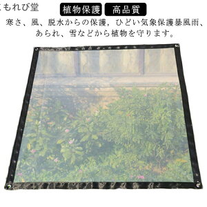 【送料無料】透明 雨よけ 冬 防風 温室カバー ビニール ロープ付き 紫外線 保温 アウトドア 日よけ 風よけ 植物 防水シート 温室 防水