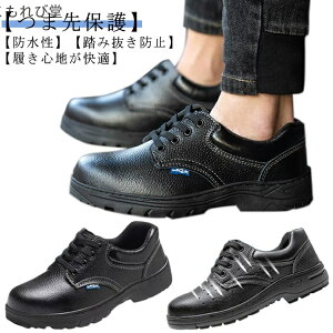 yzZ[teB[V[Y H ܐی ϖ ~ ƌC Bݔh~ |c Xj[J[ fB[X Y H