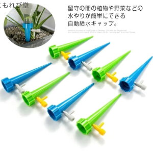 yzK[fjO A A 15Zbg U ^   ֗ 蓖 Lbv  U