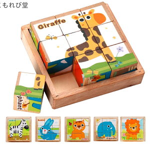 yzg  V}E} ETM Wt CI 6 ߋ q 9R} Aj} ؐ 3D̃pY L[upY