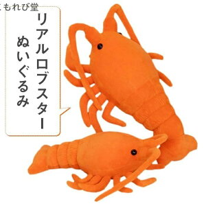 yzj 蕨 Mtg v[g   ޏ q  G  YQ  AuX^[ ʂ