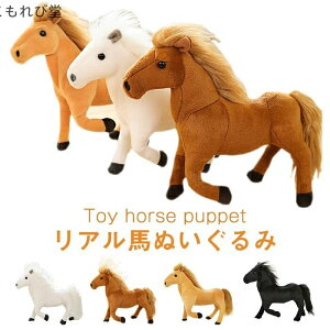 yz26cm CeA v[g Mtg   j X CeAG A  ʂ