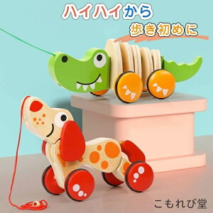 yzU  j vg[C  ߋ j̎q ̎q q c mߋ ؐ ԁzy؂̂ yvgC