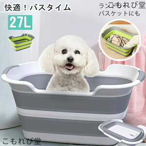 yzybg oX^u ܂肽ݎ ybgoX^u ܂ ܂肽 oXPbg L  y v ybg RpNg[   ܂݃oPc