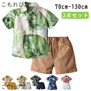 yzj̎q X[c JWA  ZbgAbv V[gpc |Pbgt  nC q Ђ xr[X[c LbY r[`EFA c