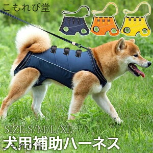 yz  s⏕n[lX Vp ybg n[lX VɓKp ybgpi?ybgObY pi pi pn[lX EȒP