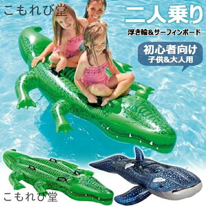 yzl  CJWxGU T[t{[h q l Ct[^uNbV ܂ݎ GA}bgX V j T[tB K đ΍