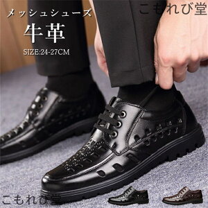 yzrWlXV[Y Y bVV[Y vC t {v T_ ItBX ʋ JWA AEghA EH[LO Ȃ 