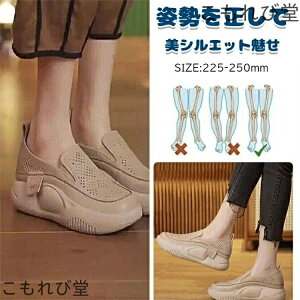 yzpvX EhgD胍[t@[[fBXV[Y JWAV[Y fB[X RȂ Xj[J[ fB[X Xb| bV 