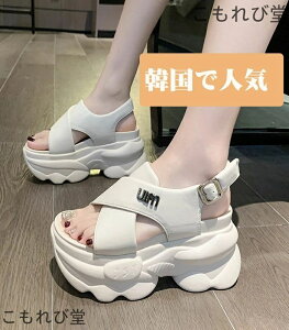 yzT_ fB[X q[8cm ₷ X|[cT_ X|T ꂢ T_ RtH[gT_ Xj[J[T_