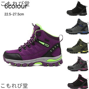 yzgbLOV[Y Y fB[X oRC Ȃ y AEghAV[Y nCLOV[YEH[LOV[Yhϖ h