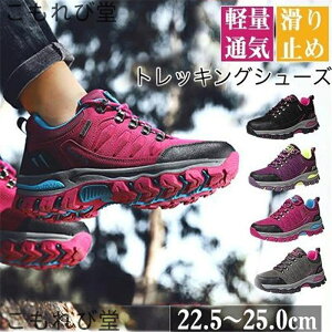 yzgbLOV[Y fB[X oRC Xj[J[ St X|[cV[Y AEghA EH[LO nCLO ^C h ~ y