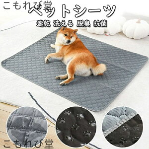 yzybgV[c 􂦂 L p pbh ybgp gC~}bg |GXe  􂦂 EL R @