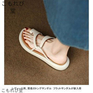 yzXbpT_ fB[X gOT_ U[ ؂  芴 ~ _炩 ₷ r AEghA ėp