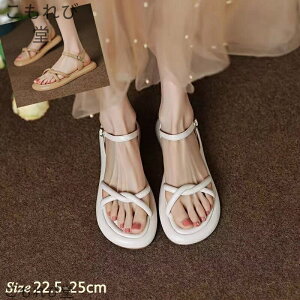 yzT_ fB[X ؂ n y y ʋC r EH[LOV[Y ʋ