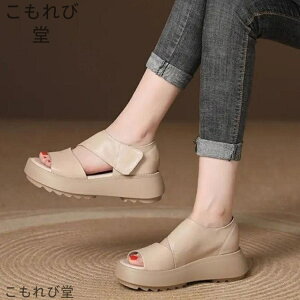 yzgȌT_ T_ fB[X Od  T_ X|[cT_ EH[LO K ʋC b  Xj[J[T_