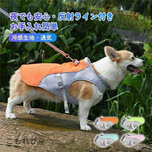 yziD ₷ R[g ^ ^ ^   m[X[u xXg Ȃ ^Ngbv AEgEGA v[ xXg ̖h~hbOEGA