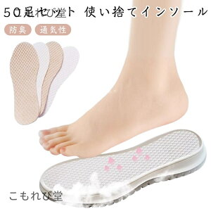 yz~ 100 ؍ރpv ĝăC\[ i` hL ʋC z f pbh Cpi ɂ X|[c