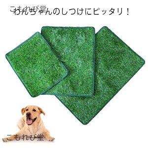 yzybggCV[g ybgpgC ybgV[g lH }bg ybgp  q 􂦂