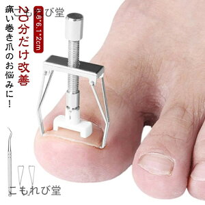 yz  ZtPA  20P lCPA lC ד ܃PA c[ T|[g  h~ ΍  ObY