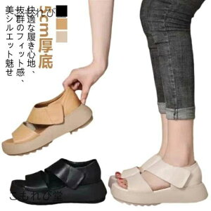 yzT_ T_ gȌT_ ₷ fB[X H Ȃ  Od EH[LOV[Y t 