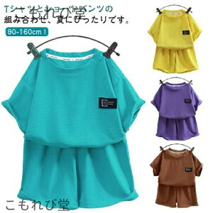 yzpW}   ZbgAbv xr[ ̎q q btn TVc  j̎q 100  LbY