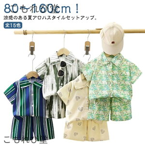 yzVc AnVc j̎q AnVc 2_Zbg ̎q q xr[ 90 S15F 80 S15F  C WjA t