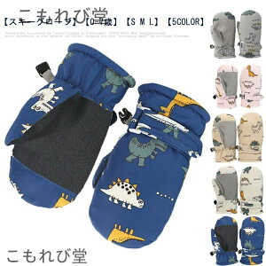 yzh XL[~g ۉ h ĂԂ Xm[ xr[ V Xm[ h XL[O[u ~ O[u XL[O[u