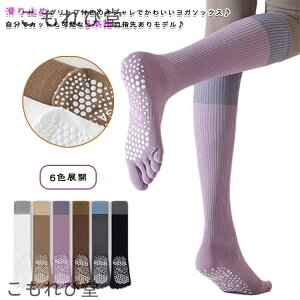 yzR[q[ 2Zbg ~ 6FWJ Obv ܐ悠 zCg 5{w O[ nC\bNX ubN 2Zbg