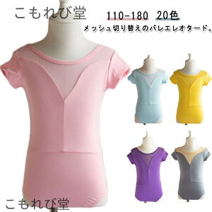 yz 20F Rbg oG oGI^[h q bV؂ւ oGpi WjA ̎q Lk XJ[gȂ Xgb`