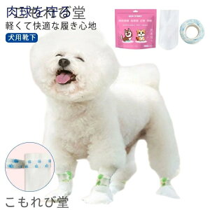 yz100Zbg _炩 ĝ 25 hbOu[c sDz C pC h U ̃V[Y ho ybgC ی