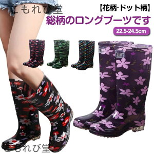 yzJC ԕ h O fB[X ^N\[ 킢 hbg u[ C Sh y  J̓ Ou[c