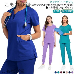 yzXNu jtH[ ㉺Zbg Zbg XNu Y  Ô fB[X j  i[X 傫TCY