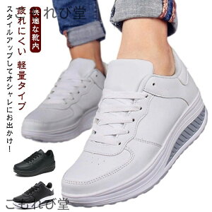 yzEH[LOV[Y p Xj[J[ fB[X C AEghA i[XV[Y _CGbgV[Y