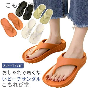 yzgOT_  T_ gO fB[X Y r[`T_ Ȃ ɂȂ @  X|[cT_