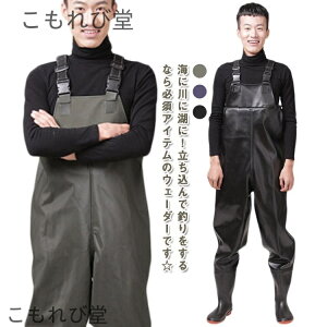 yzނ d `FXgnCEF[_[ tC Sh C Y C t PVC C ނ fB[X  _ _