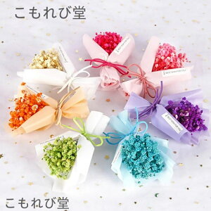 yz~jTCY ݑ 4_Zbg ~j Y ԍ ֏  v[g hV̓ ̓   u[P v[g