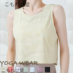 yzKEFA gbvX ̌^Jo[ m[X[u   L~\[ X|[cEFA KgbvX fB[X