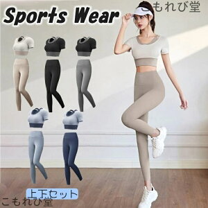 yz㉺Zbg gbvX 傫TCY  Vv MX nCEGXg ZbgAbv fB[X X|[cEFA K