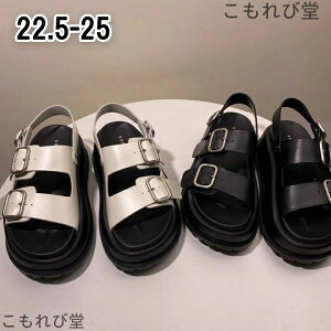 yz fB[X XgbvT_  r  Ȃ   ɂȂ ₷ fB[XC p[eB[