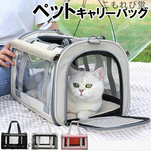 yzybgL[ ybg L  obO ybg L[ obO h  ʉ@ ^  L[P[X  L[