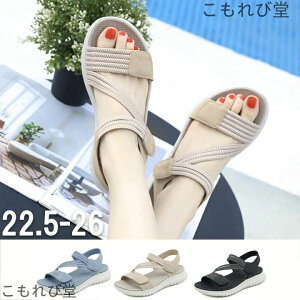 yzfB[X T_ [q[ Vv 킢  芴 ɂȂ _炩 ₷ Ȃ C u[