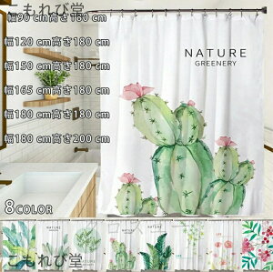 yzh V[J[e CJ[e new oXJ[e  k J[e CeA C oX  ډB