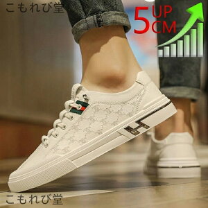 yz V[NbgV[Y gAbv5cm up5cm wȂ Y  C Xj[J[ Cq[ K JWA