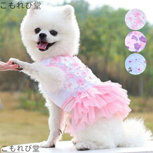 yzybgEFA  L s[X ԕ ԏ `[XJ[g hX hbOEFA ybgObY L lR ybg ^