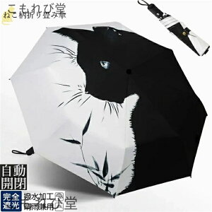 yz܂肽ݎP fB[X  8{ Jp J UVJbg IV ՌՔMP fB[X P ՔM