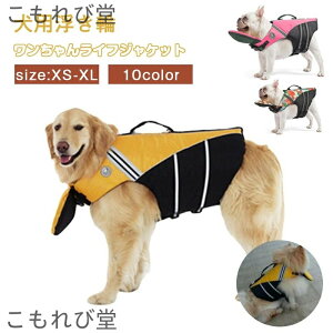 yzCtWPbg ybgp ̂  S ^ ^ ^ ^ V v[ C ~ߌp 