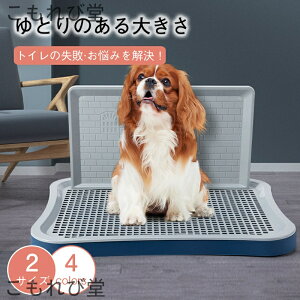 yzybgpgCg[jOp ꕔ~߃fUCS̓IɈ芴AAt